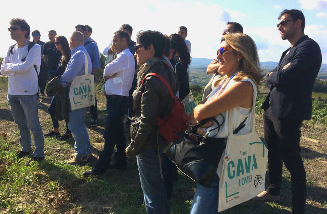 Cava curso de formador