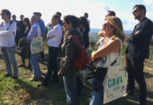 Curso de formador en cava Cava curso de formador