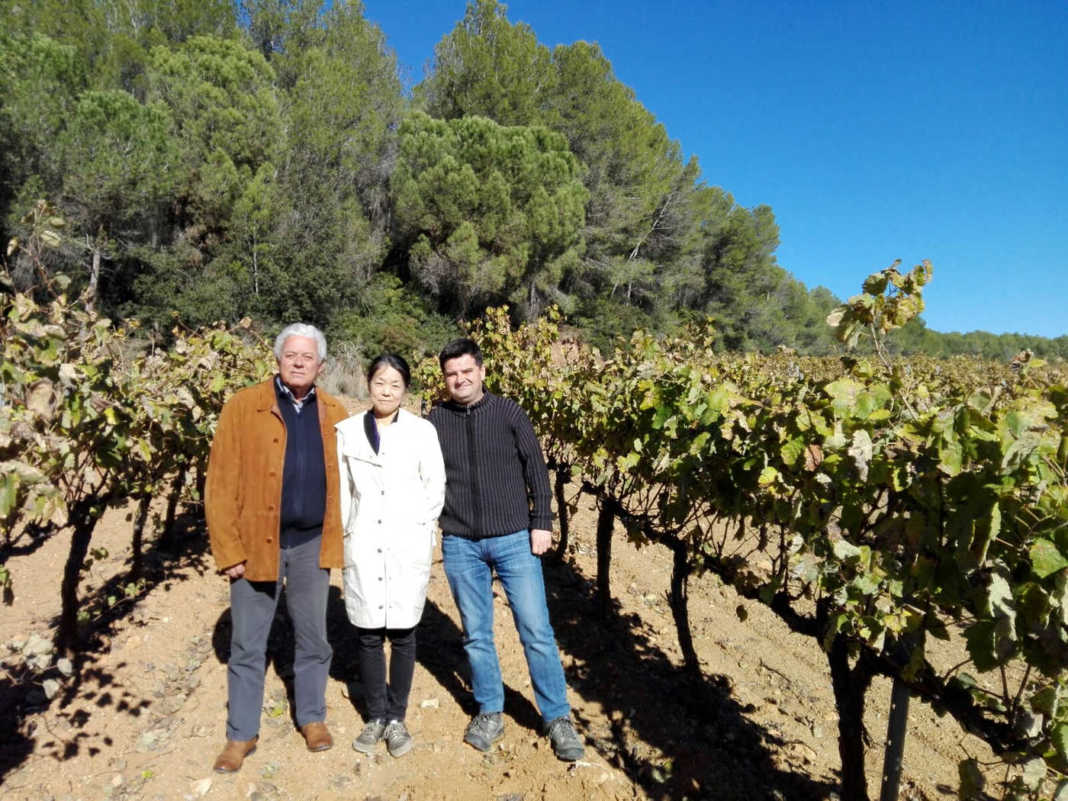 Institut del cava y Japón Yasuko Nagoshi en Casa Sala