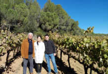 Japón pone su mirada en los cavas de Paraje Calificado Institut del cava y Japón Yasuko Nagoshi en Casa Sala