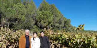 Institut del cava y Japón Yasuko Nagoshi en Casa Sala