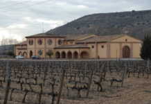 Ribera del Duero cierra una cosecha 2017 excepcional Ribera del Duero y la vendimia 2017