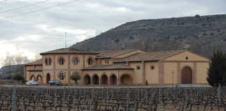 Ribera del Duero y la vendimia 2017