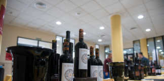 Utiel-Requena Foro Bobal