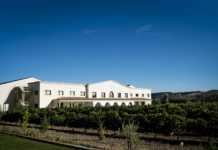 Fundación Carlos Moro de Matarromera colabora con el Banco de Alimentos Matarromera