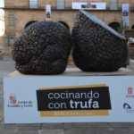 Trufa negra en Soria