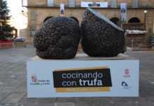 La trufa negra de Soria Trufa negra en Soria