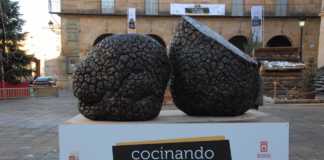 Trufa negra en Soria