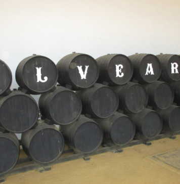 Bodegas Alvear “La evolución de la flor”.