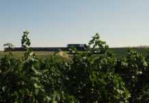 Bodegas Laus, D.O. Somontano. Bodegas Laus