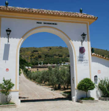 Bodega Joaquín Fernández (Finca Los Frutales) D.O. Málaga “Vinos ecológicos de uvas tintas”