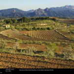 Terra Alta 2