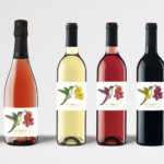 Bodega Montesquius, D.O. Cava 3