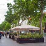 La Vinoteca Torres 2