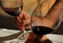 Los vinos de la D.O. Montsant se afianzan en los mercados.