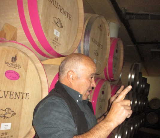 Bodega Calvente, I.G.P. Granada.