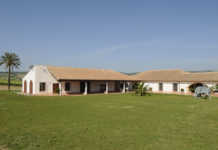Bodega Huerta de Albalá, V.T. de Cádiz.