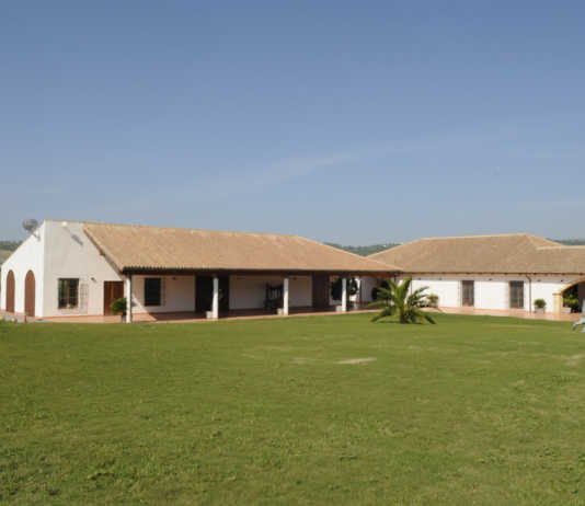 Bodega Huerta de Albalá, V.T. de Cádiz.