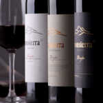 Bodega Sonsierra, D.O.Ca Rioja 9