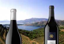 Excelentes puntuaciones para los vinos y cavas de Perelada.