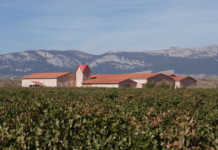 Familia Martinez Bujanda valora el suelo tanto como la variedad de uva.