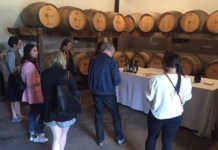 Prescriptores irlandeses de viaje por la D.O. Rías Baixas.