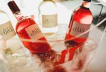 Utiel Requena celebró su V Salón Placer Bobal.