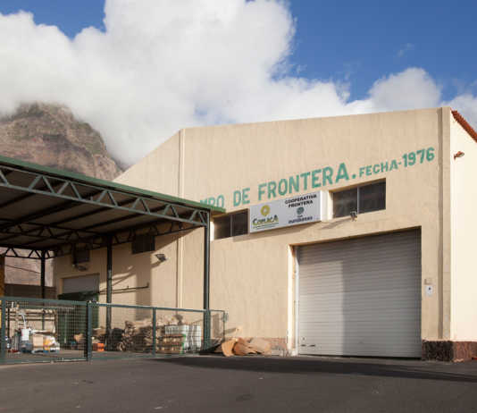 Bodega Viña Frontera, D.O. El Hierro.
