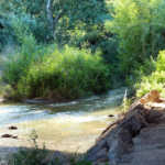 Rio Queiles en Tudela – blog (2)[1]