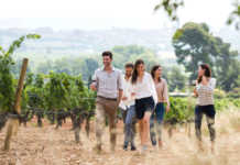 Familia Torres propone varias actividades enoturísticas este verano 2018