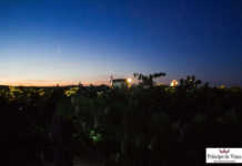 Los beneficios de la vendimia nocturna según la Familia Martínez Bujanda.