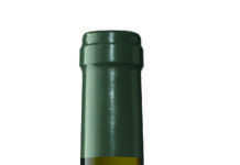 Predicador Blanco 2017