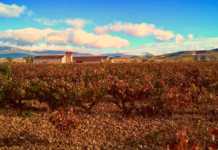 Bodega Finca Valpiedra entre los paisajes a ser Patrimonio de la Humanidad.
