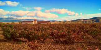 Bodega Finca Valpiedra entre los paisajes a ser Patrimonio de la Humanidad.