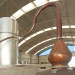 Pisco 1615 (4)