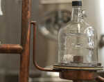 Pisco 1615 (6)