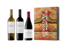 Proyecto de viticultura Cérvoles.