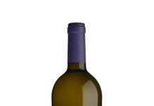 Nuevo Pazo de Señorans Selección de Añada 2010