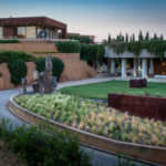 Torres y la Signature Wine Experien 1ces
