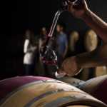 Torres y la Signature Wine Experience