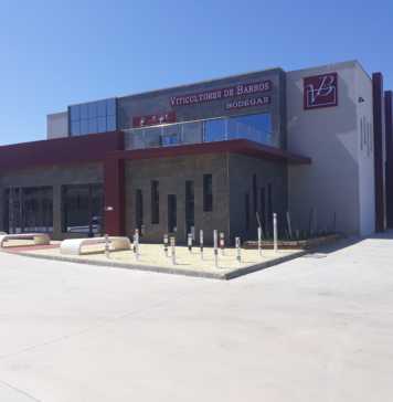 Viticultores de Barros, D.O. Ribera del Guadiana.