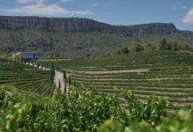 SALMOS 2016 OBTIENE EL PRIORAT TROPHY