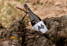 NUEVA AÑADA DE V MALCORTA