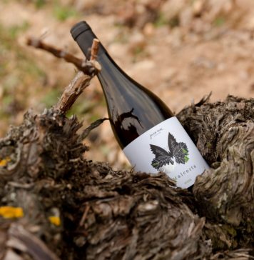 NUEVA AÑADA DE V MALCORTA