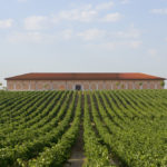 Bodega Museum D.O. Cigales 1