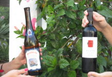 CATANDO GRANBAZÁN D. ÁLVARO DE BAZÁN 2015 Y ENATE MERLOT-MERLOT 2013