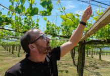 LA CONFUSIÓN SEXUAL EN EL VIÑEDO DE MARTÍN CÓDAX