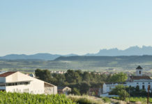 CYGNUS BRUT NATURE 92 PUNTO EN WINE&SPIRIT MAGAZINE