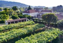 PAZO TORRE PENELAS LA NUEVA BODEGA DE FAMILIA TORRES