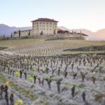 López de Haro Bodega-Winery_RIOJA_LOPEZDEHARO (3)